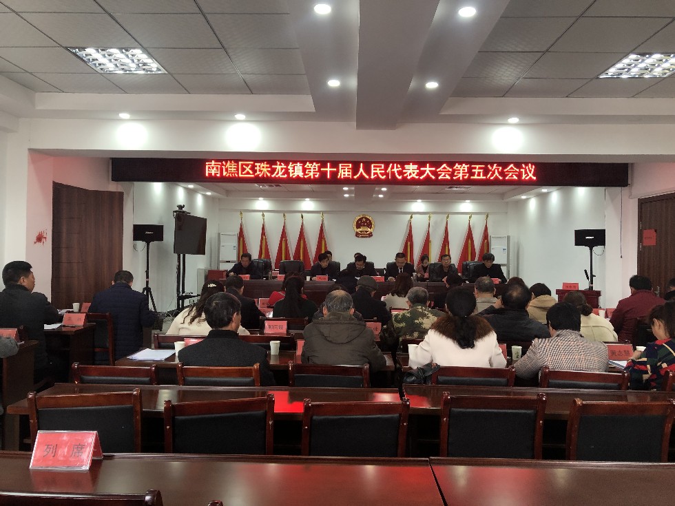珠龙镇召开十届人大五次会议.JPG