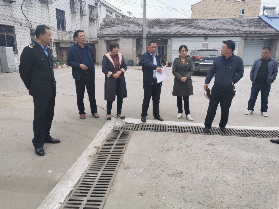 珠龙镇人大视察创城工作.JPG