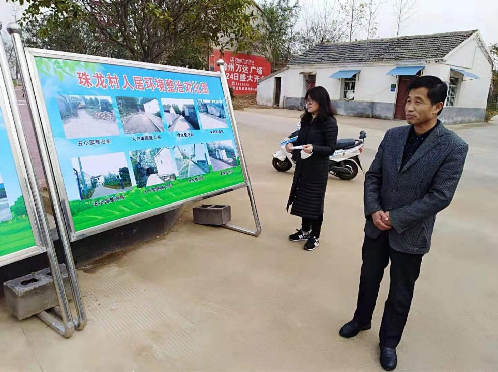 珠龙镇人大视察人居环境整治.JPG