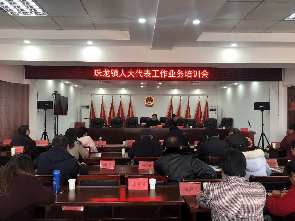 珠龙镇人大代表工作业务培训会.JPG
