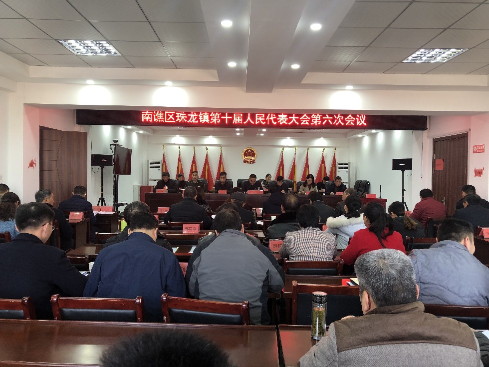 珠龙镇召开第十届人民代表大会第六次会议.JPG