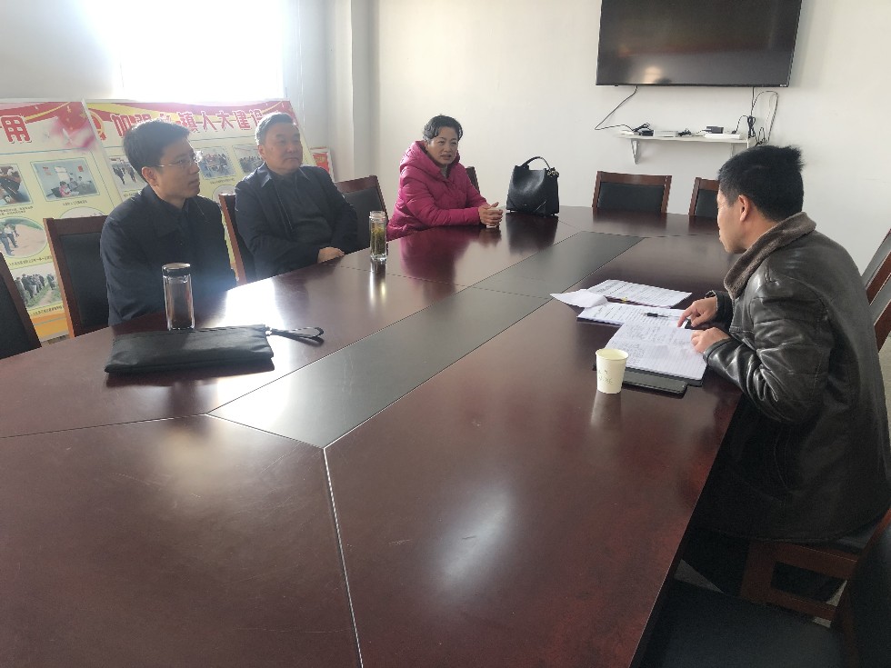 王良琪主任指导珠龙镇人大工作.JPG