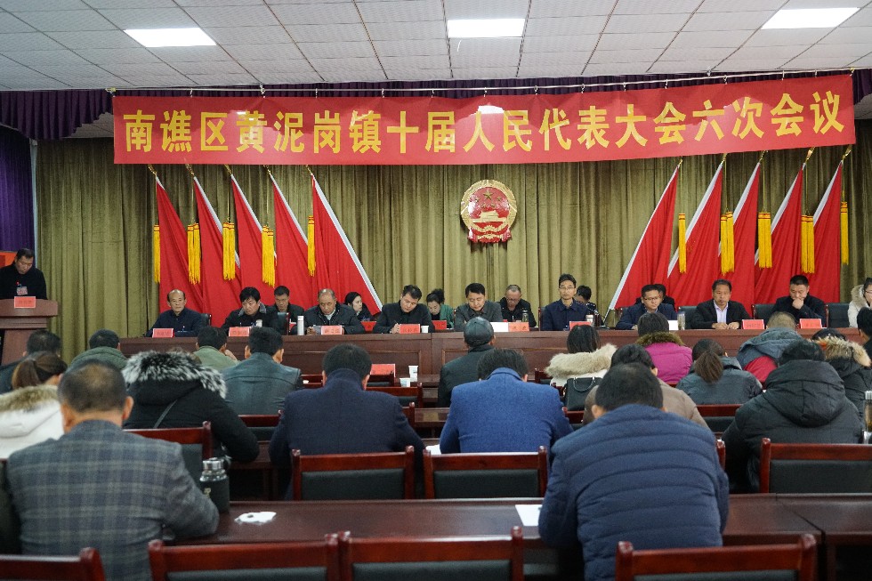 黄泥岗镇召开第十届人民代表大会第六次会议.JPG