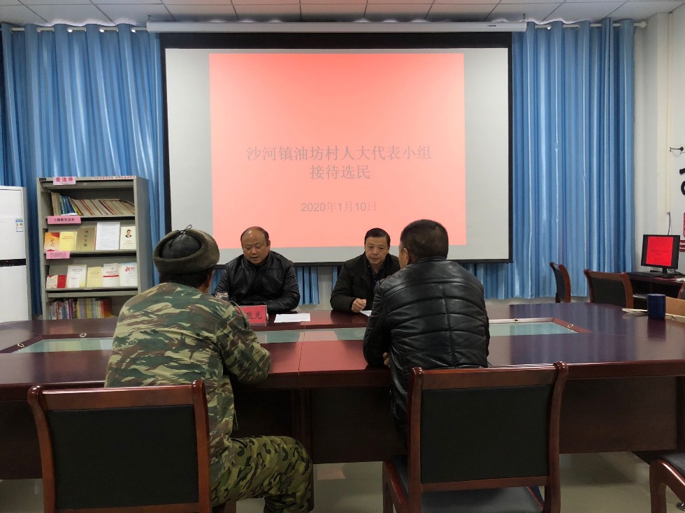 20200110沙河镇接访日图片.png