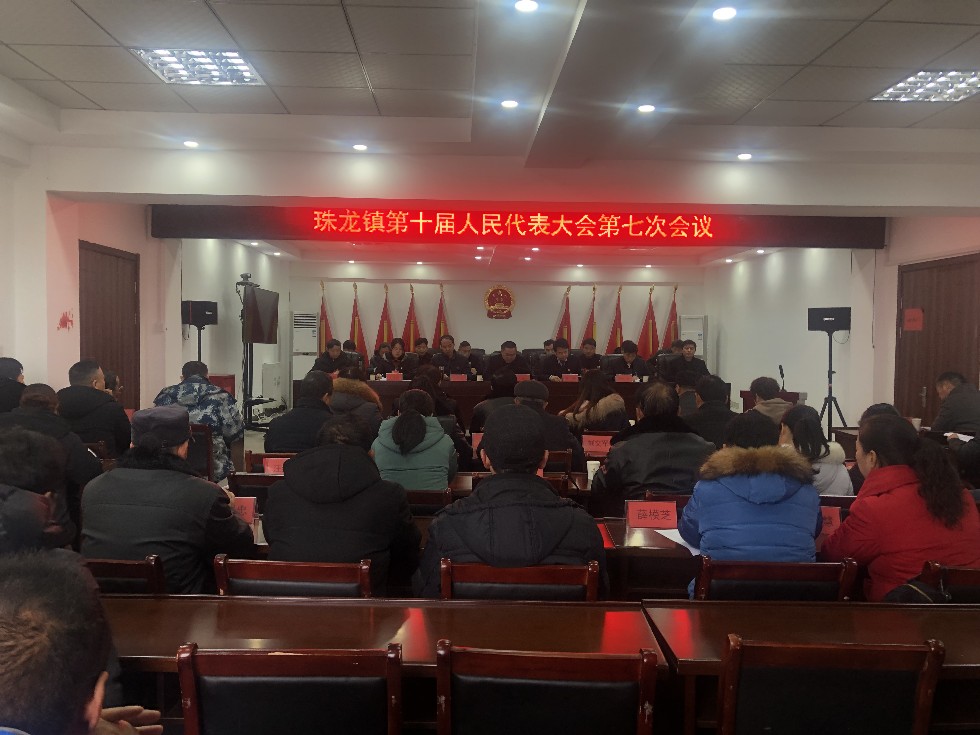 珠龙镇召开十届人大七次会议.JPG