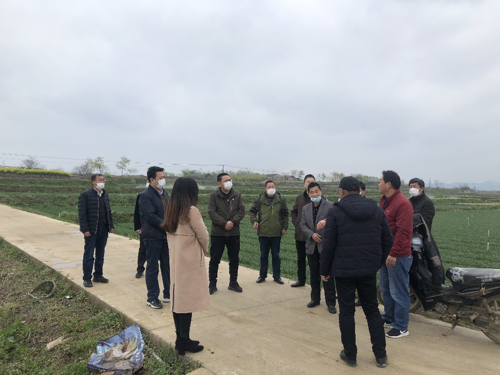 珠龙镇召开2020年第二次人大主席团会议.png