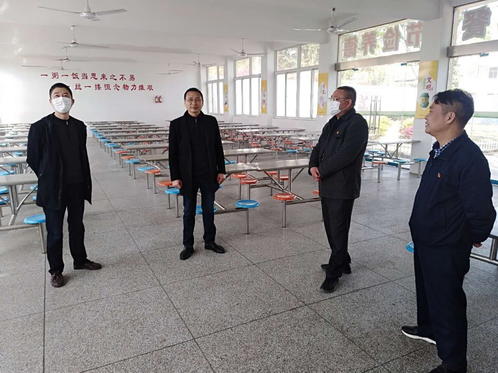 珠龙镇人大代表视察学校复学情况.JPG
