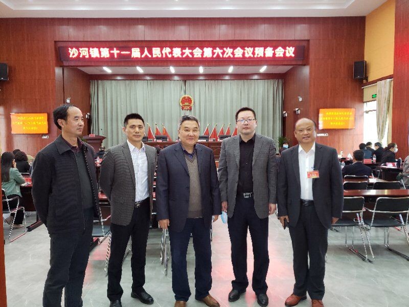 20200420区人大指导沙河镇人大召开人代会.png