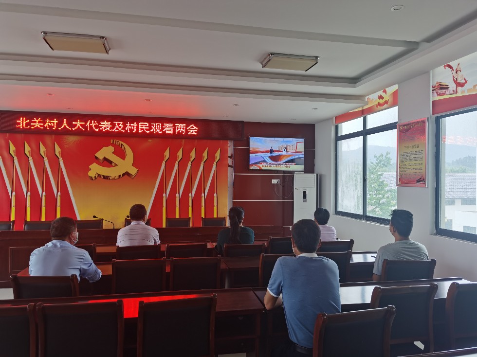 珠龙镇人大代表集中观看”两会“.JPG