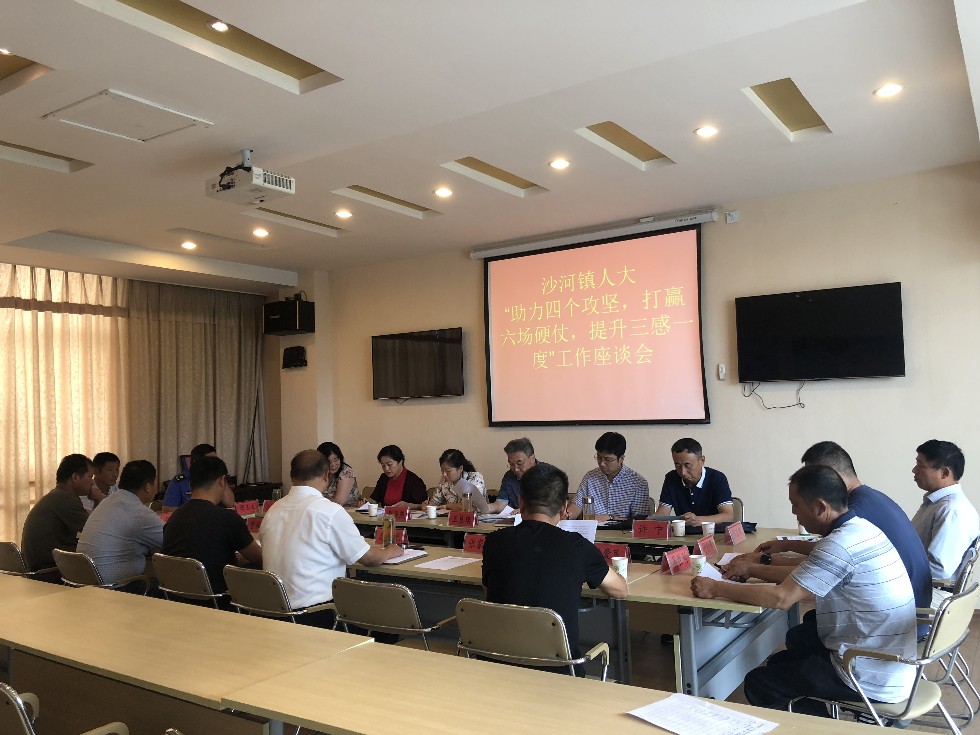7.3王良琪率队赴沙河镇开展“常委会组成人员基层行”活动.JPG
