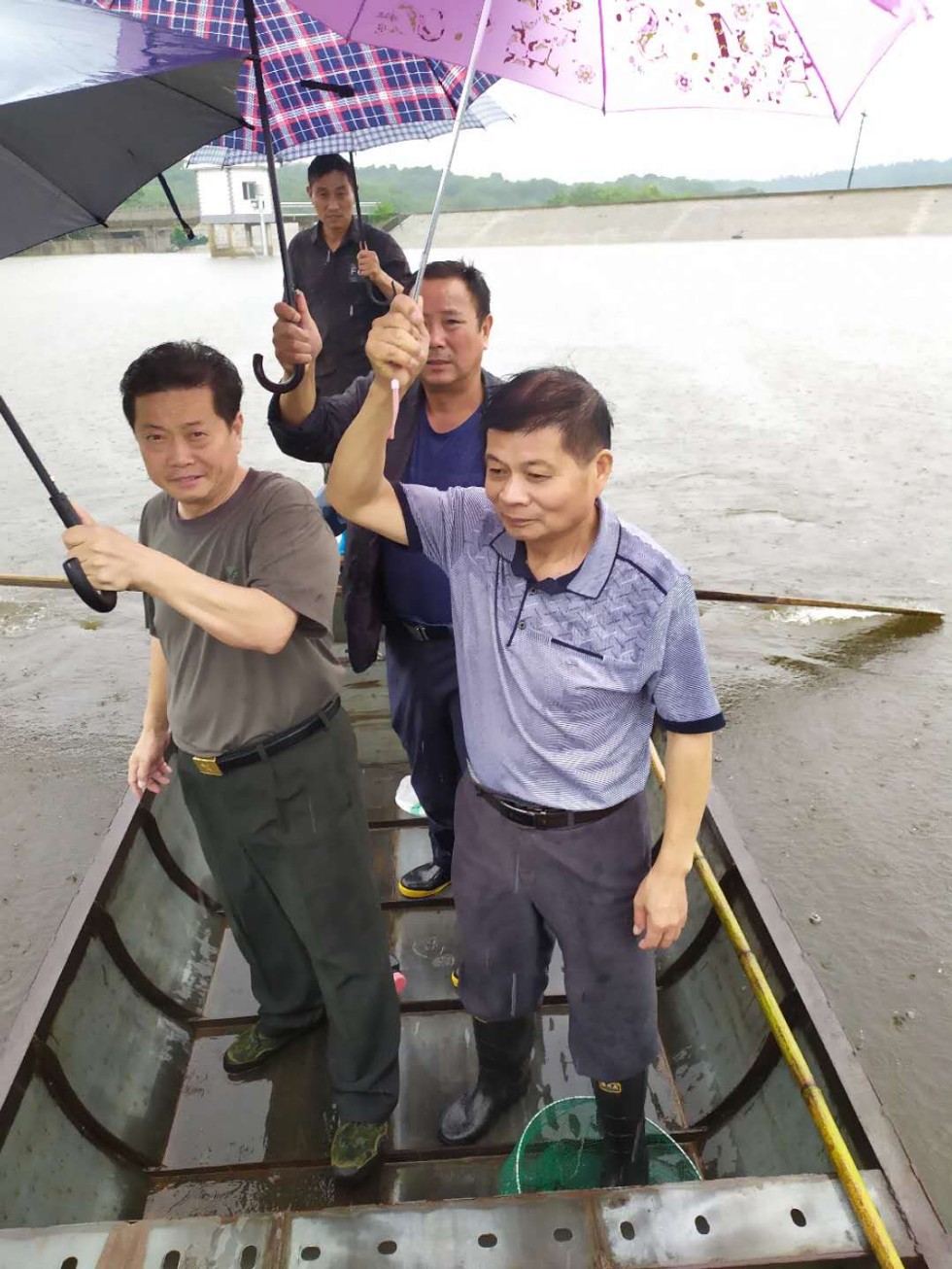 20200721沙河镇人大代表到簸箕岭水库巡查水库水位上涨情况.png