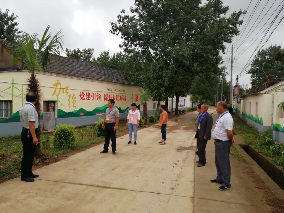章广镇人大代表视察调研辖区人居环境整治工作.jpg