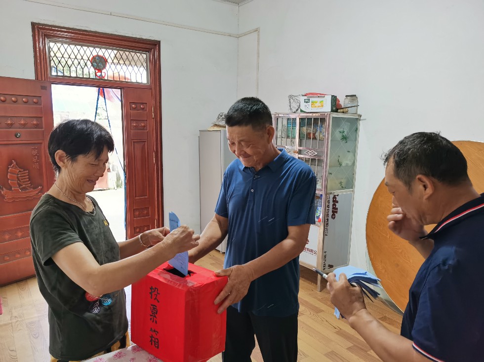 珠龙镇区人大代表补选工作圆满结束.jpg