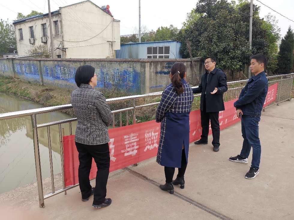 1.0镇人大代表视察水环境保护.jpg