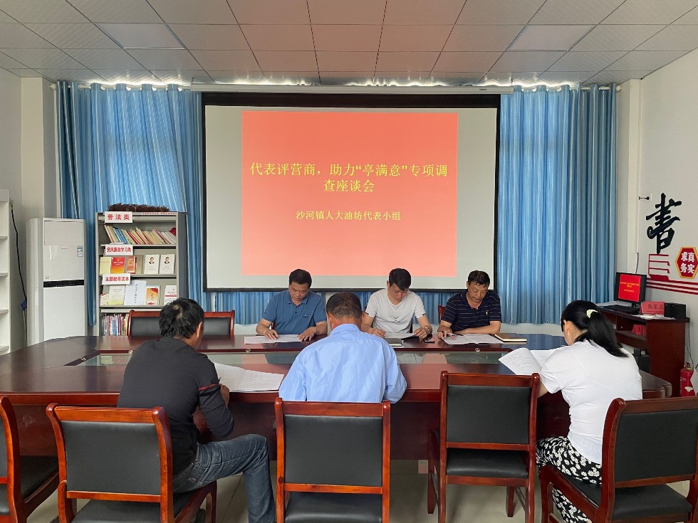 沙河镇人大油坊村代表小组开展“代表评营商，助力‘亭满意’”调研活动.jpg