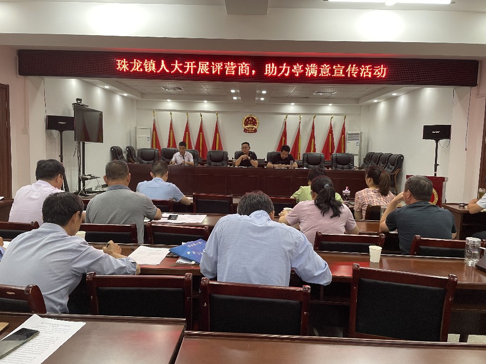 珠龙镇人大开展评营商，助力亭满意宣传活动.JPG