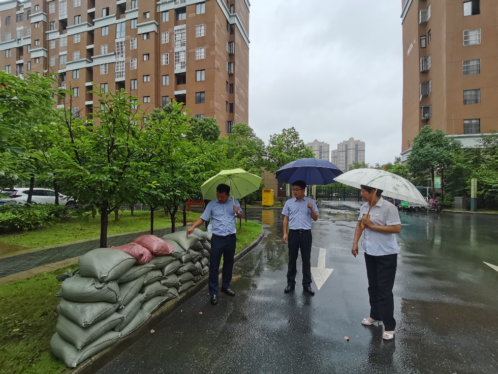 龙蟠街道组织人大代表视察防台风汛防工作.jpg