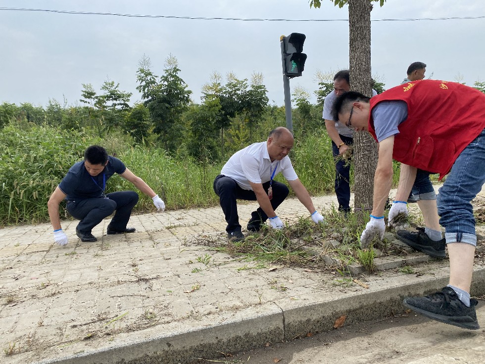 沙河镇人大代表在烈日炎炎下在园区花池旁除草2.png