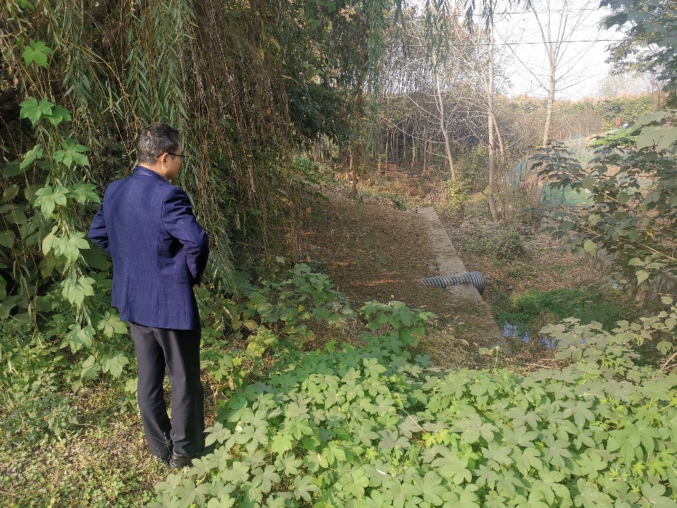 腰铺人大对入河排污口进行排查整治.jpg