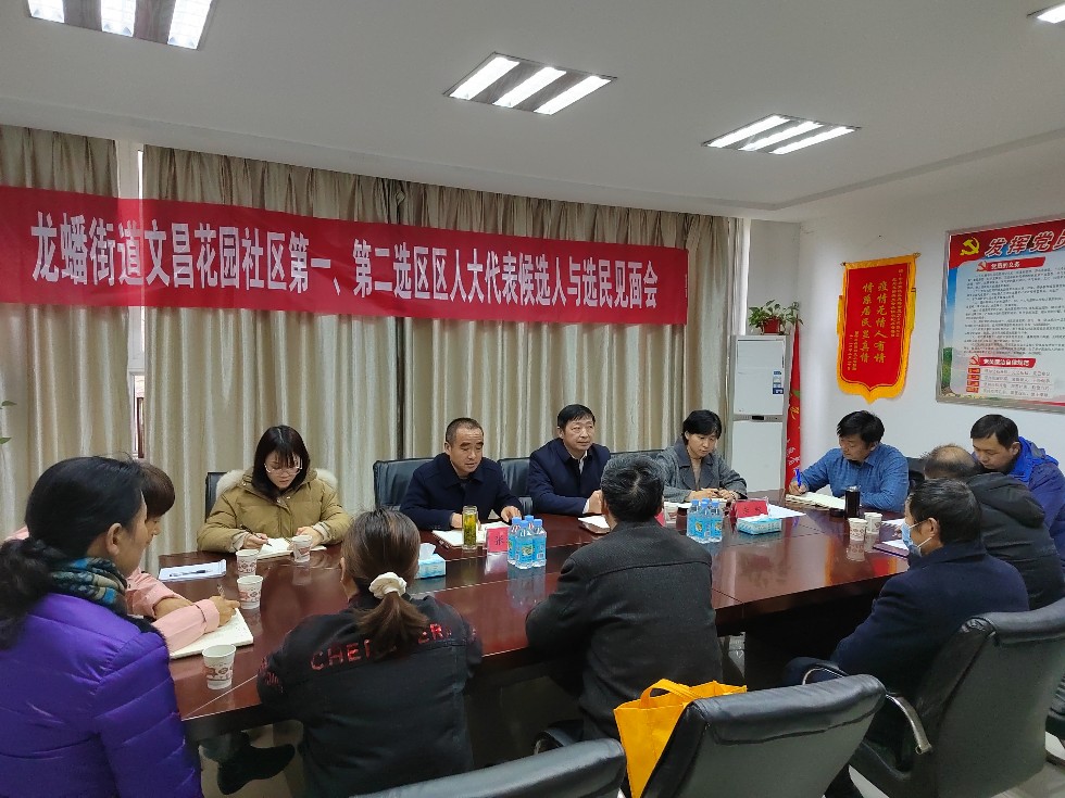 龙蟠街道召开区人大代表候选人与选民见面会.jpg