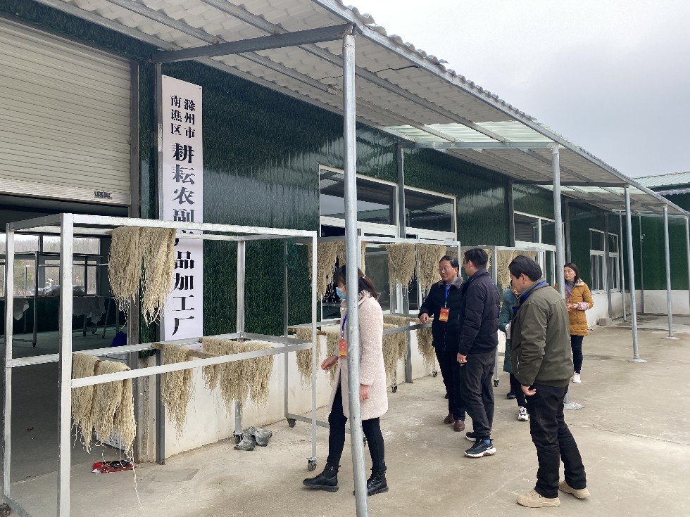 2.14章广镇组织代表开展“同心合力助推乡村振兴”主题活动3.jpg