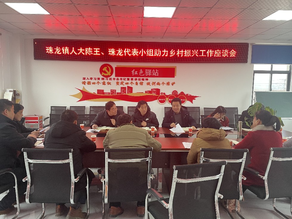 珠龙.JPG