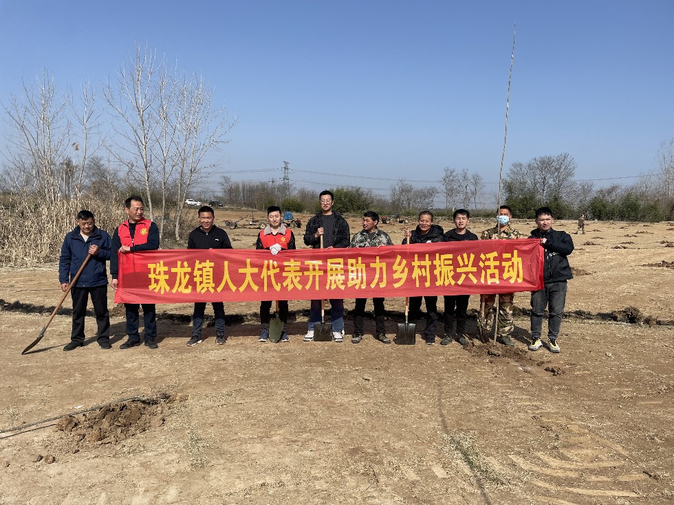 珠龙镇人大植树1.JPG