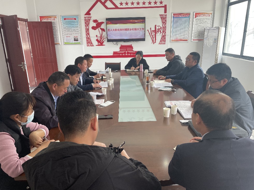 贾佳赴珠龙镇调研乡村振兴工作.JPG