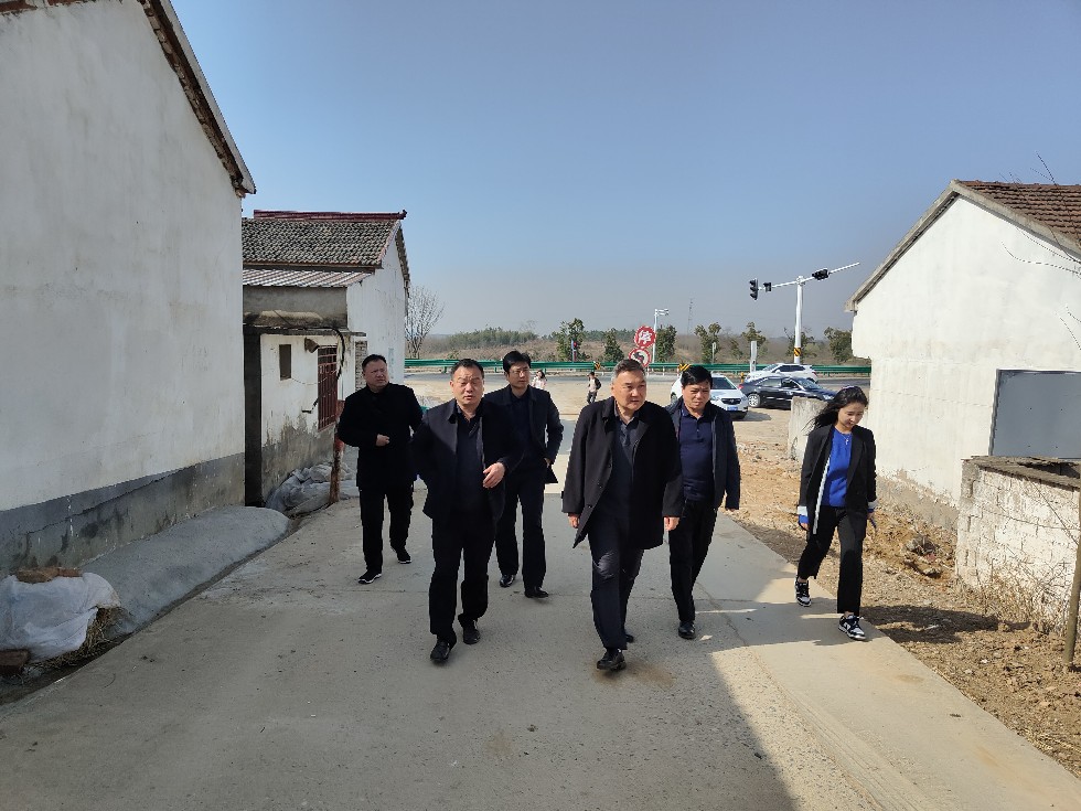 王良琪到沙河指导乡村振兴2.jpg