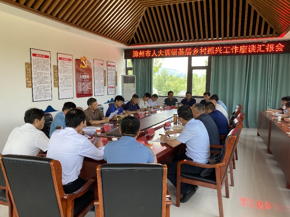市人大调研南谯区乡村振兴基层民意点工作2.jpg