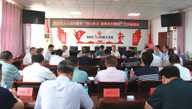 区人大巡回督导&ldquo;同心合力 助推乡村振兴&rdquo;2.jpg