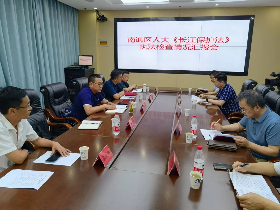 区人大开展《中华人民共和国长江保护法》执法检查.jpg