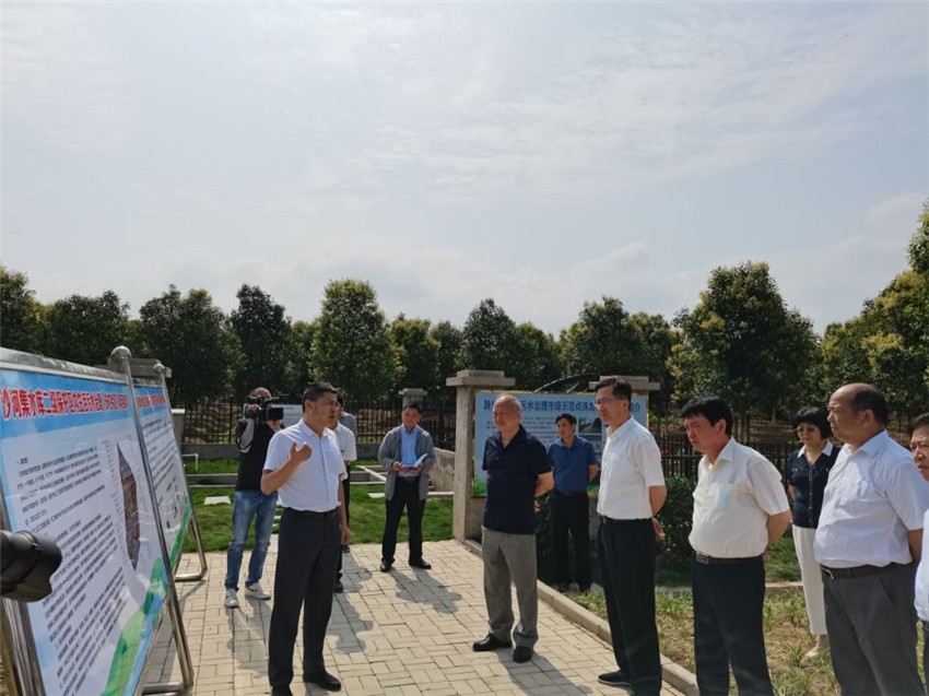 王图强调研南谯区突出生态环境问题整治监督工作.jpg