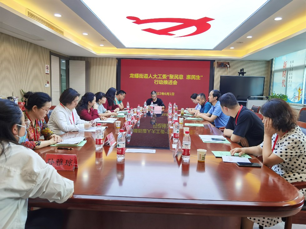 龙蟠街道人大推动“聚民意，惠民生”行动走深走实.jpg