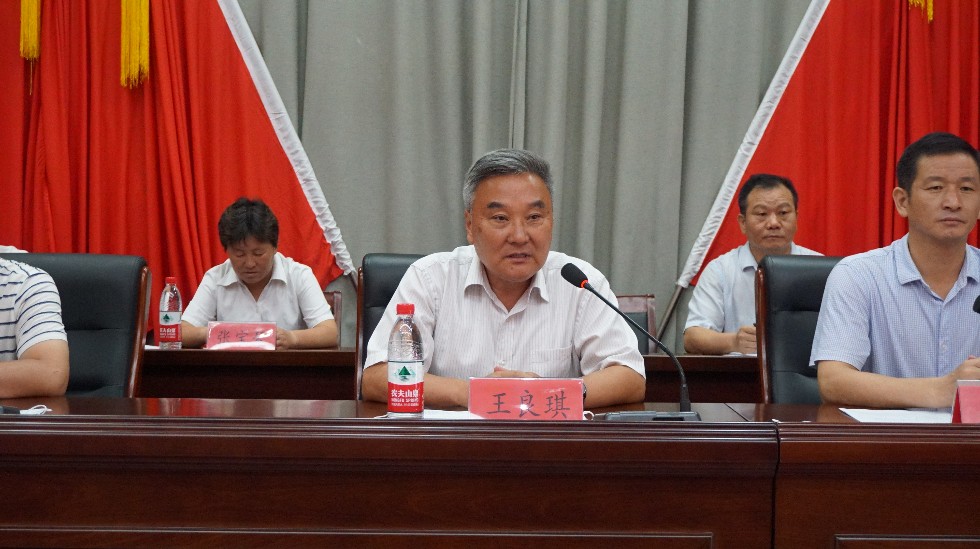 沙河镇开展“万名代表助力乡村振兴”集中履职活动启动仪式2.JPG