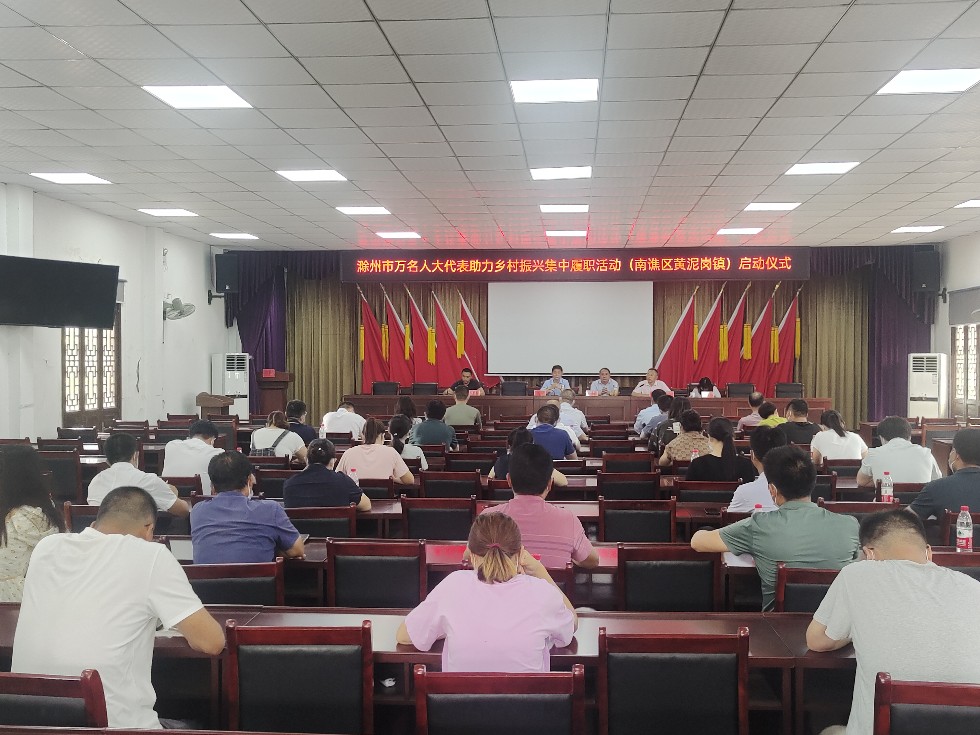 黄泥岗镇举行“万名人大代表助力乡村振兴”集中履职活动启动仪式.jpg