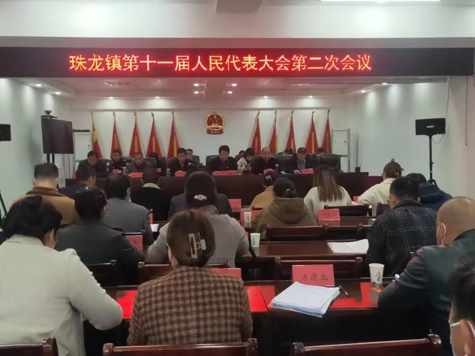 珠龙镇召开第十一届人民代表大会第二次会议.jpg