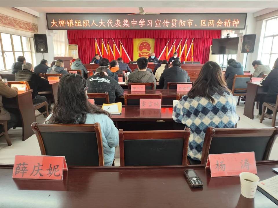 大柳镇学习宣传贯彻市、区两会精神.jpg
