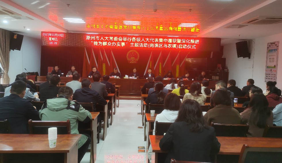 南谯区乌衣镇人大代表集中履职暨深化推进“我为群众办实事”主题活动启动仪式.jpg