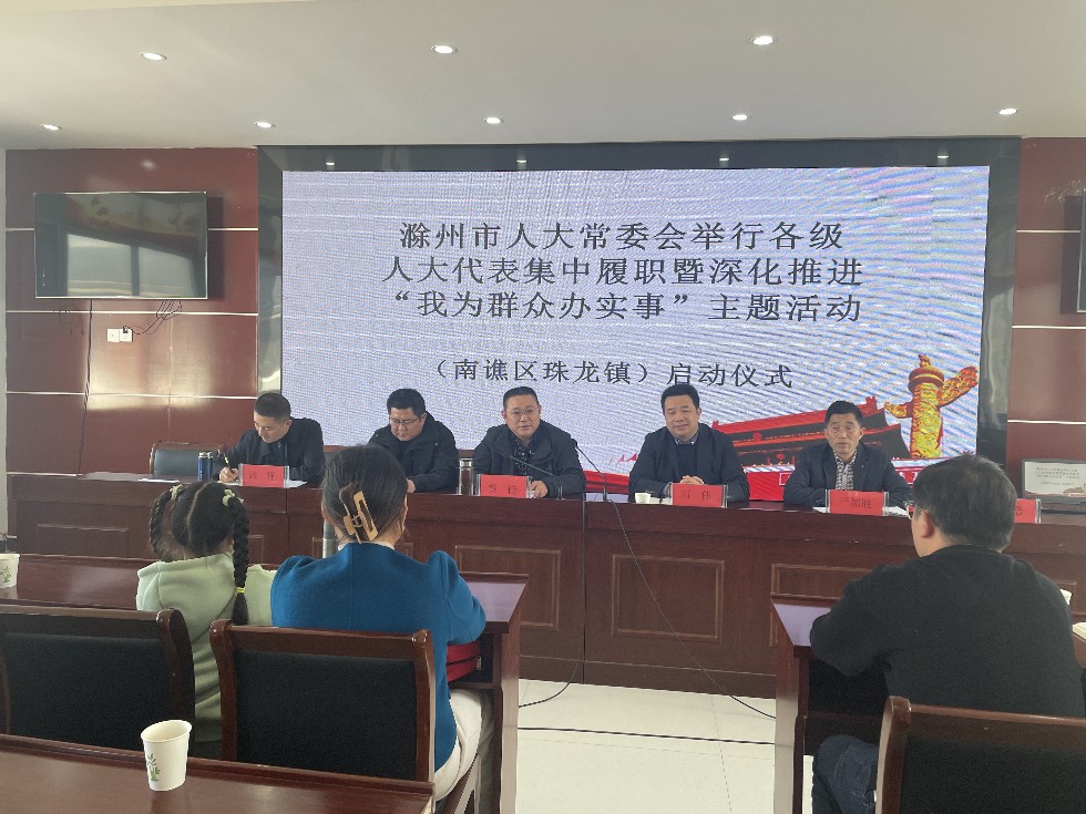 南谯区珠龙镇人大代表集中履职暨深化推进“我为群众办实事”主题活动启动仪式.jpg