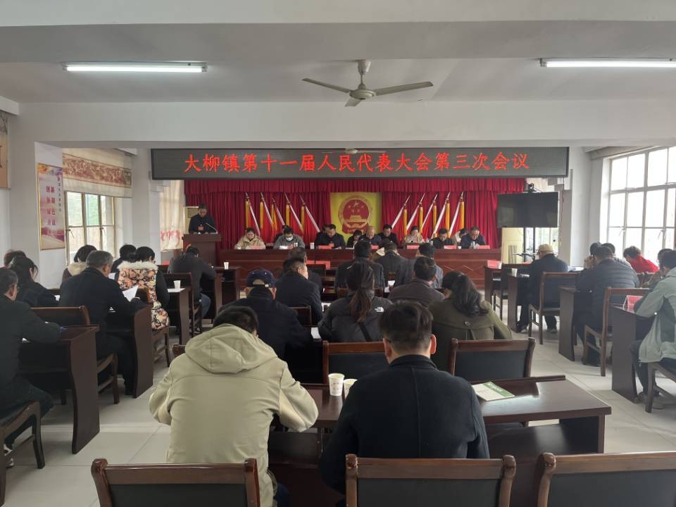 大柳镇召开十一届人大三次会议.jpg