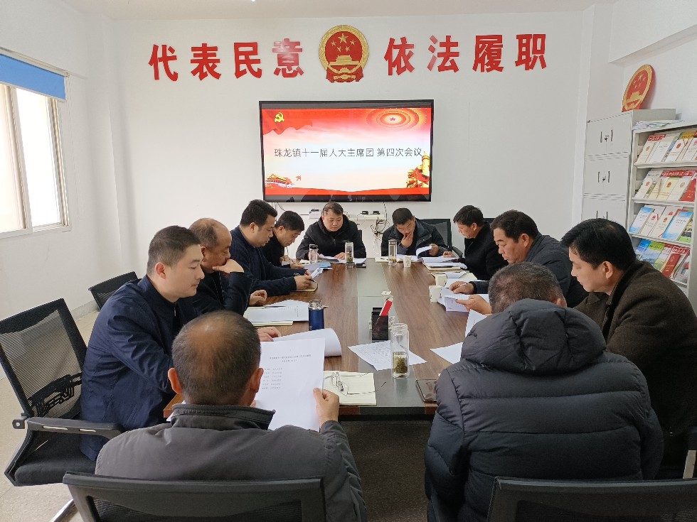 珠龙镇人大召开十一届人大主席团第四次会议.jpg