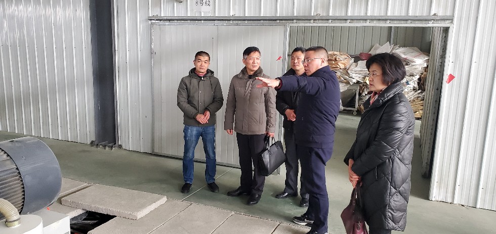 南谯区人大常委会主任王良仁深入招商企业考察.jpg