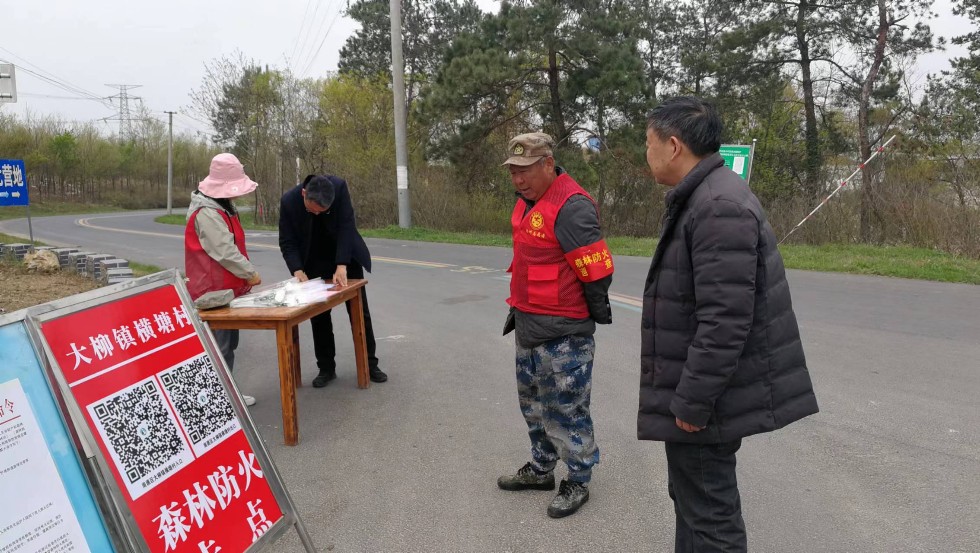 人大代表到森林防火点督查.jpg