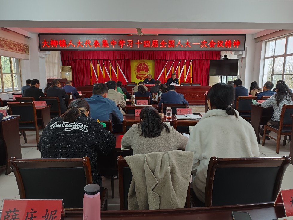 大柳镇人大集中学习十四届全国人大一次会议精神.jpg