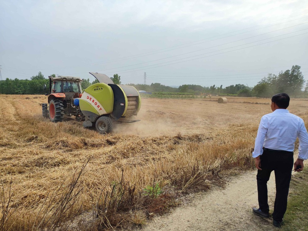 南谯区沙河镇人大:一线抢收 助力夏粮颗粒归仓.jpg