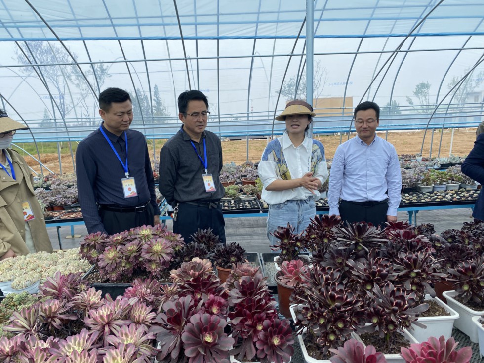 人大代表参观调研多肉基地.JPG