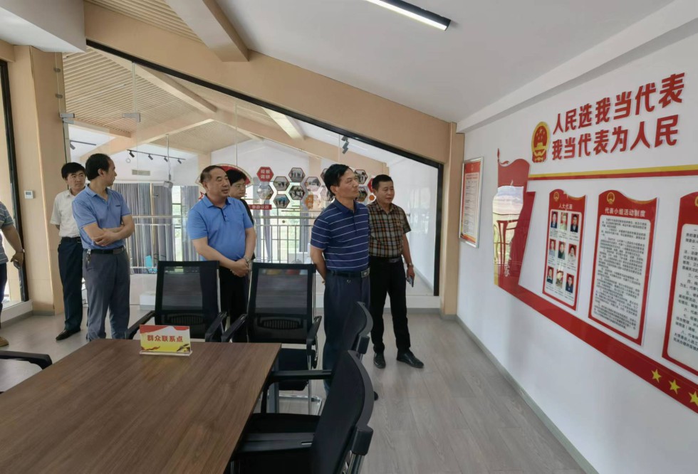 王良仁调研镇街人大建设和代表工作1.jpg