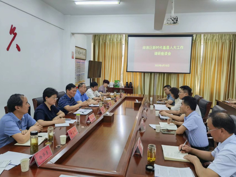 王良仁调研镇街人大建设和代表工作3.jpg