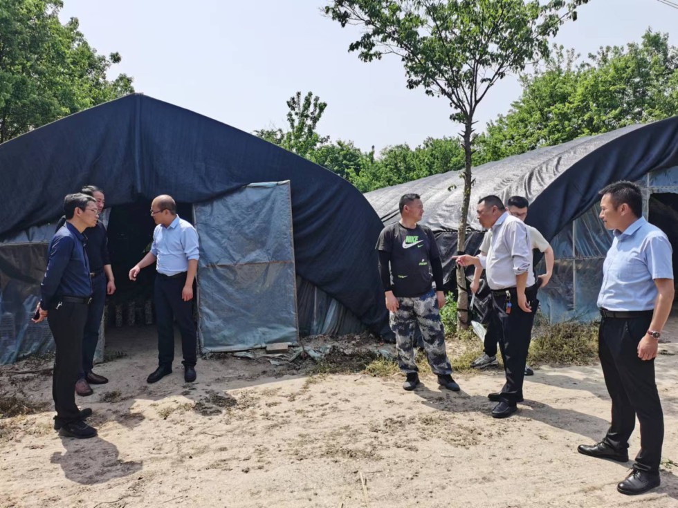 南谯区大柳镇人大：念好&ldquo;三字诀&rdquo; 筑牢安全生产防线.jpg